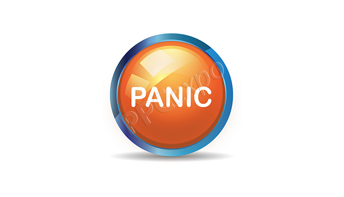ppc campaign management example