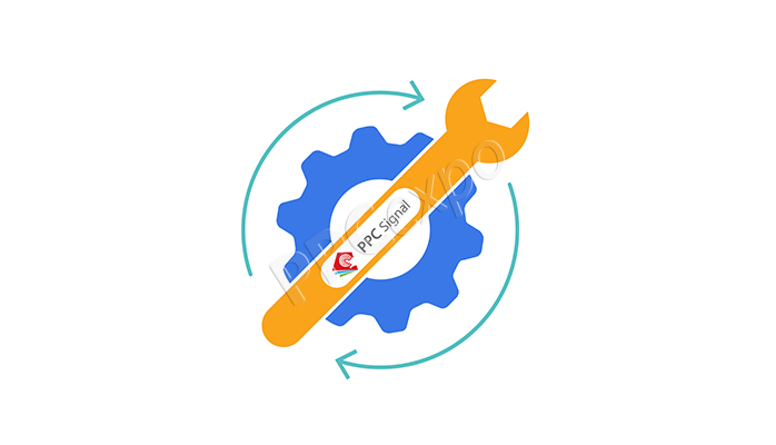 ppc campaign management example