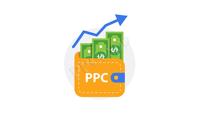 ppc campaign management example