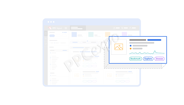 ppc campaign management example