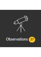 optimize google ads