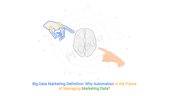 Big data marketing definition