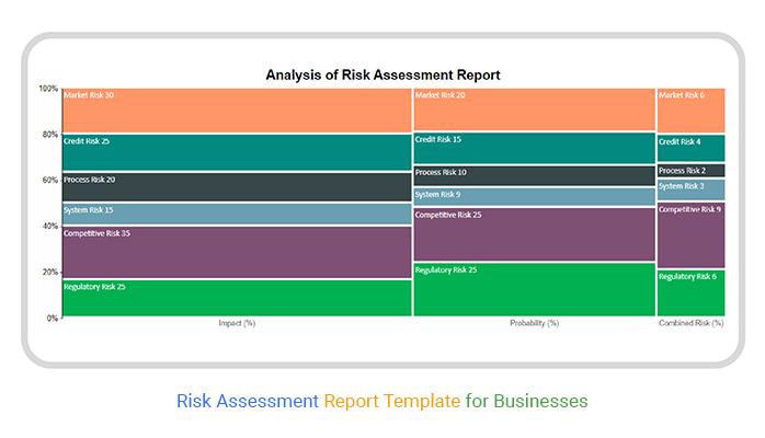 Risk Assessment Report Template