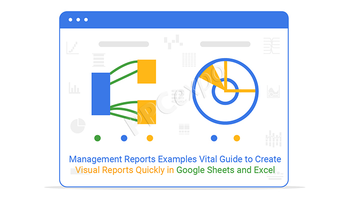 Management Reports Examples