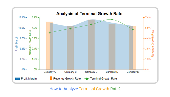 Terminal Growth Rate
