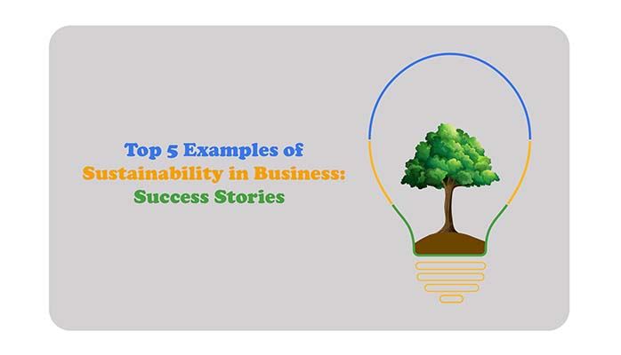 Sustainability in Business Examples